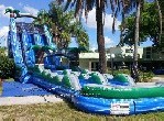 Dual Lane Tropical Water Slide