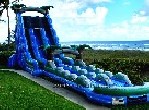 Dual Lane Tropical Water Slide