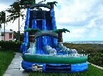 Dual Lane Tropical Water Slide