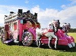 Cinderella Horse Carriage Jumping Castle Combo