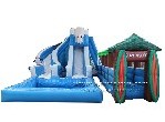 Polar bear series Dual Lane Wet Slide with Slip N Slide