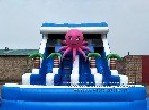 Octopus Water Slide