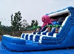 Octopus Water Slide