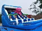 Octopus Water Slide