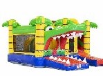 Crocodile Castle