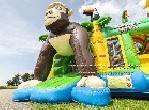 Safari Bouncy Castle