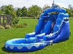 Dolphin Water Slide