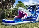 Shark Water Slide