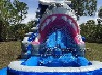 Shark Water Slide