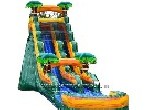 Cali Palms Water Slide