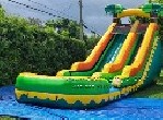 Tropical Water Slide