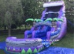 Purple Palm tree Water Slide Afs212