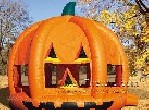 halloween pumpkin jumpers Afc130