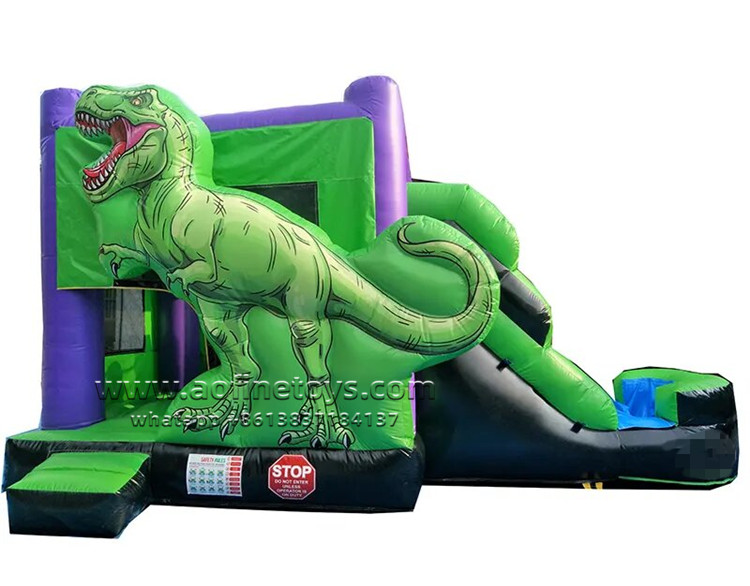 Dinosaur Bouncer Water Slide Combo