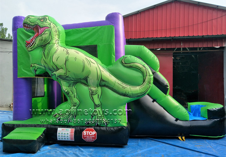 Dinosaur Bouncer Water Slide Combo